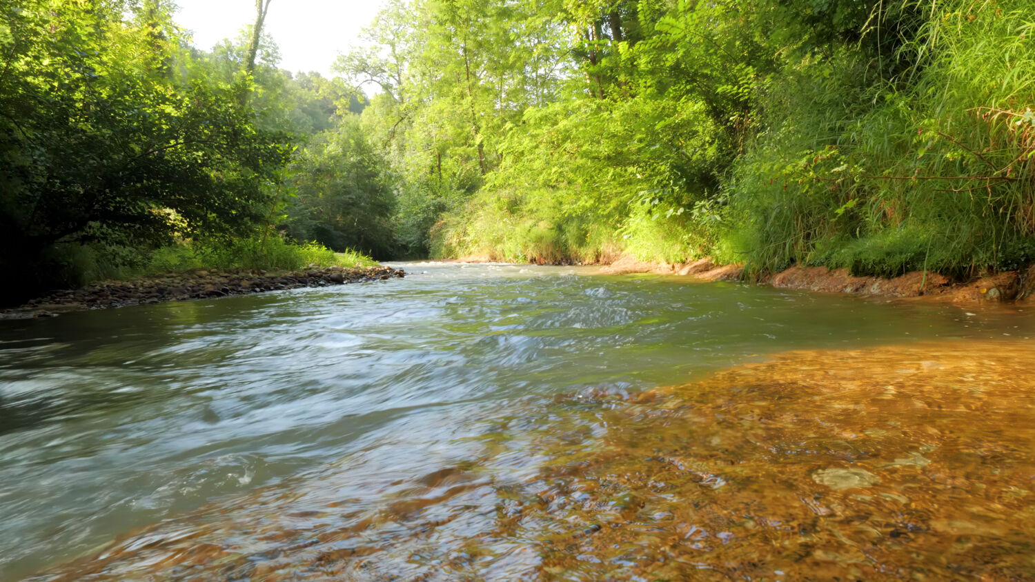 domaine naturiste de l eglantiere riviere