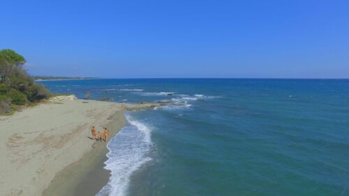 bagheera plage naturiste